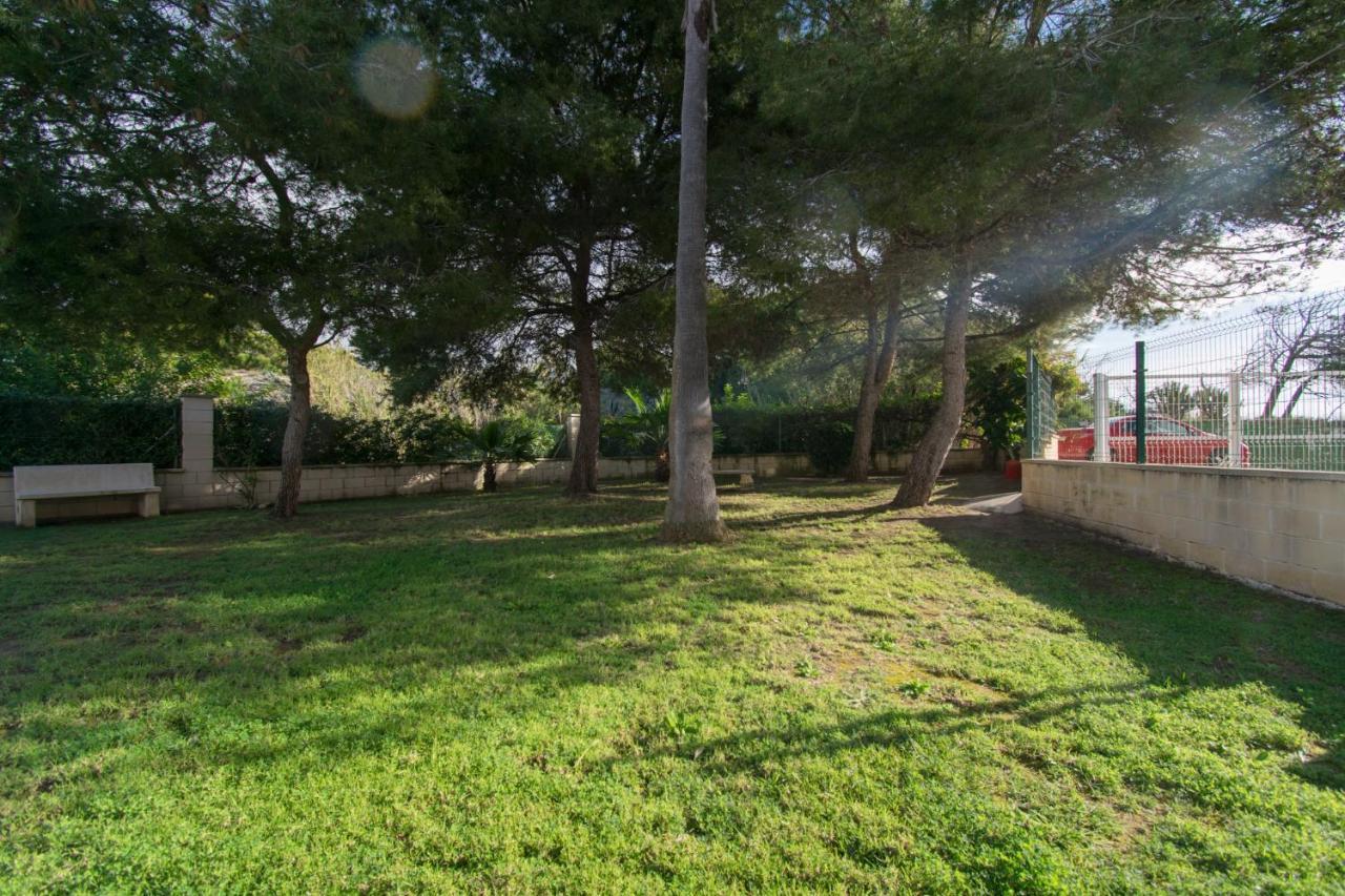 Apartament 58 Luxury Sunny Vacations La Mata  Zewnętrze zdjęcie